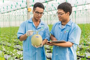 NSC đang là một trong những doanh nghiệp tốt nhất trên sàn chứng khoán Việt Nam.