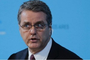 Ông Roberto Azevedo, Tổng giám đốc WTO