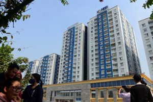 Doanh thu Công ty Năm Bảy Bảy (NBB) tăng đột biến nhờ dự án đối diện Carina