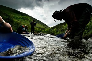 Cả người lớn và trẻ em đều đang đổ xô đến tìm vàng trên con sông Afon Wen, miền bắc xứ Wales. (Nguồn: Murdo Macleod)