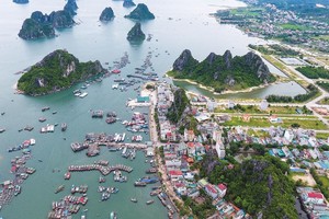 Đặc khu cần tư duy mới, luật chơi mới