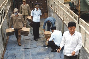 Các quy định lỗi thời trong kiểm tra chuyên ngành với hàng hóa nhập khẩu đang lấy đi của doanh nghiệp nhiều triệu ngày công mỗi năm. Ảnh: Đức Thanh