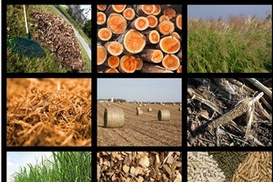 Các phụ phẩm nông nghiệp sẽ là nguyên liệu đầu vào của công nghệ xử lý rác. 