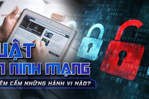 Luật An ninh mạng cấm những hành vi nào từ năm 2019?