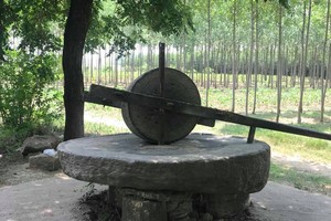 Đại gia Đồng Nai chi 160 triệu đồng mua chiếc cối đá 2 tấn về ngắm