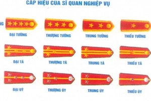 Vì sao Cục trưởng cục đặc biệt của Bộ Công an phải là Trung tướng?