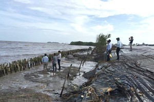 Kè khẩn cấp bảo vệ đê biển Tây, đoạn từ cống Kênh Mới hướng về phía Đá Bạc (huyện Trần Văn Thời, Cà Mau). (Ảnh: Kim Há/TTXVN)