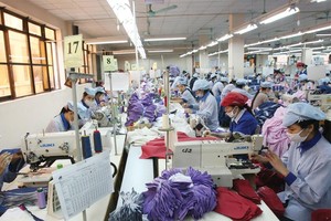 Chính phủ đo gánh nặng chi phí của doanh nghiệp