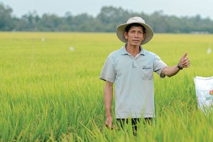 Nguồn cung và giá khí nào để giúp Đạm Cà Mau tiếp tục đóng góp cho nông nghiệp Việt?