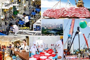 [Infographics] Những thành tựu kinh tế-xã hội của đất nước