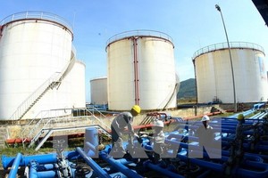 Ảnh chỉ mang tính minh họa. (Nguồn: TTXVN)