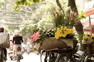 Màu của mùa Thu