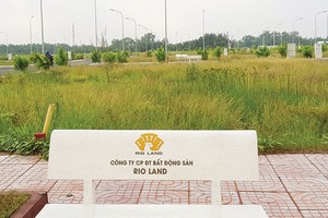 Nhiều dự án đất nền “bỏ hoang” sau cơn sốt