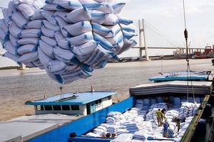 Xúc tiến xuất khẩu gạo cho doanh nghiệp Việt Nam