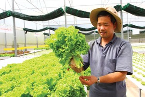 Những doanh nhân của tương lai nước Việt