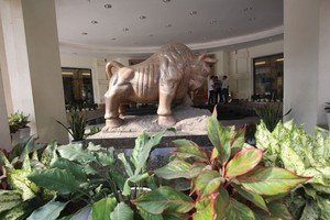 10 tháng, tỷ lệ thành công đấu giá trên HNX chưa đến 50%