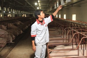 Tham gia Hiệp định CPTPP, cần “tiếp sức” cho doanh nghiệp