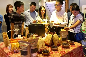 Giá trị xuất khẩu cà phê đã lấy lại sự tăng trưởng nhẹ sau thời gian dài đi xuống - Ảnh: VGP/Đỗ Hương.