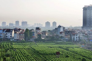 Theo kế hoạch, năm 2018 sẽ cổ phần hóa 85 doanh nghiệp, nhưng đến nay mới có 12 doanh nghiệp được phê duyệt.