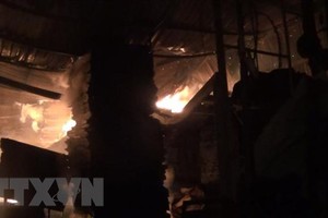 (Ảnh minh họa: Huyền Trang/TTXVN)