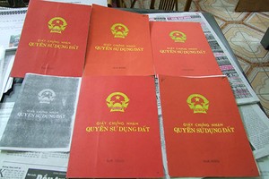 Bắt giam nguyên cán bộ làm giả sổ đỏ để lừa đảo hàng chục tỉ đồng