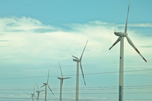 Thúc đẩy khu vực tư nhân phát triển năng lượng bền vững