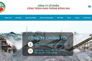 Đại diện nhóm cổ đông lớn cho rằng, việc chậm thông bố công tin của Công ty đã ảnh hưởng nghiêm trọng tới các quyền lợi của cổ đông.