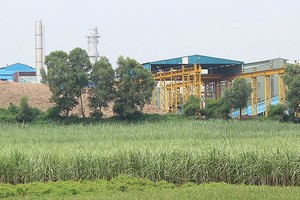 Mía đường Lam Sơn (LSS) đặt mục tiêu chia cổ tức 7%