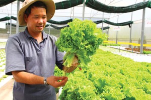 EU là cánh cửa đưa nông sản Việt vươn ra thị trường toàn cầu.