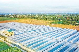 PAN muốn tăng sở hữu tại Thực phẩm Sao Ta (FMC)