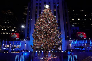 Chiêm ngưỡng những cây thông Noel độc, đẹp trên thế giới