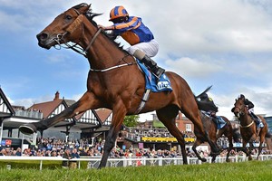 Trường đua ngựa sẽ gắn liền với hoạt động đặt cược thể thao (Ảnh minh hoạ).