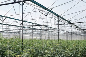 Nông nghiệp công nghệ cao Trung An dự kiến lên sàn HNX trong tháng 1/2019