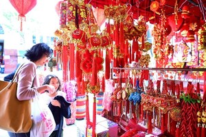 Không khí chào đón Tết Kỷ Hợi trên thế giới