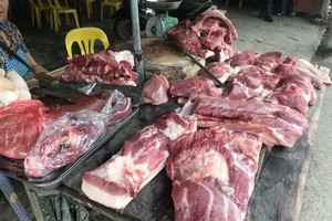 Thời điểm Tết, lợn dịch nhiều khiến người dân lo lắng.