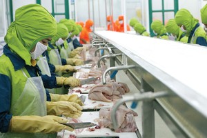 Chi phí đầu vào tăng nhẹ, doanh nghiệp chưa chịu áp lực tăng giá