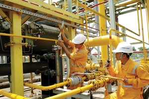 Hóa dầu Petrolimex (PLC): Kế hoạch tăng trưởng nhẹ cho năm 2019