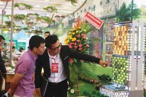 Khách hàng tìm hiểu thông tin dự án Ariyana Nha Trang.