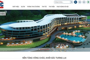 DIC Corp (DIG) trình phương án phát hành 100 triệu USD trái phiếu