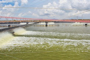 Mô hình nuôi tôm ứng dụng công nghệ cao của Tập đoàn Minh Phú cho năng suất trên 200 tấn/ha/năm.