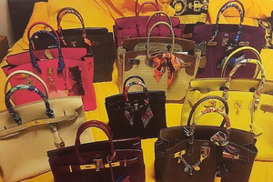 Căn hộ của nữ sinh viên chứa hàng trăm món đồ hiệu mua bằng tiền thấu chi.