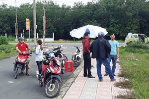 Các cò đất hoạt động tấp nập.