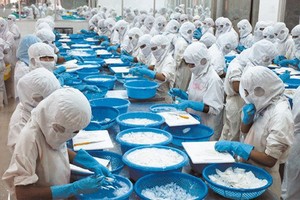 HOSE nhắc nhở TS4 chậm nộp báo cáo tài chính lần 6 và báo cáo thường niên 2020 lần 3