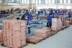 Cổ phiếu cần quan tâm ngày 17/11