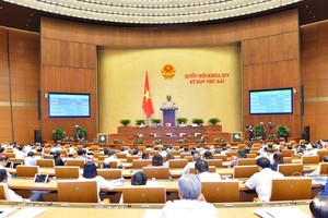 Ngày 12/6, Quốc hội tiến hành phê chuẩn đề nghị bổ nhiệm Thẩm phán Tòa án nhân dân tối cao và thảo luận 2 dự án luật.