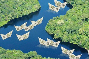 Tiền lỏng kém nhiệt tâm với cổ phiếu