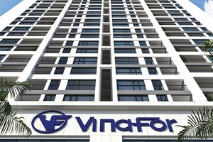 Nhà đầu tư “ngó nghiêng” Tổng công ty Lâm nghiệp Việt Nam - Vinafor (VIF)