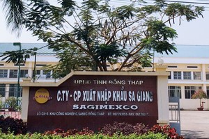 Vì sao thoái vốn nhà nước tại Sa Giang thất bại?