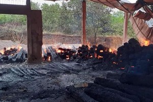 Số gỗ quý trong kho bị thiêu rụi gần như hoàn toàn.