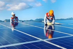 Lợi nhuận từ dự án Điện mặt trời Vĩnh Hảo 6 góp phần không nhỏ giúp FECON đạt tăng trưởng mạnh mẽ so với cùng kỳ.